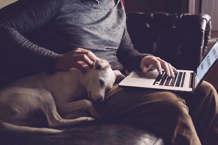 Man with his dog and laptop at home